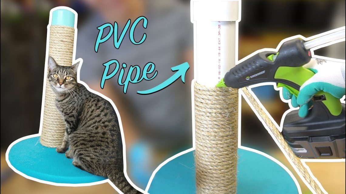 How to make a scratching post for a cat?