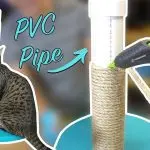 How to make a scratching post for a cat?