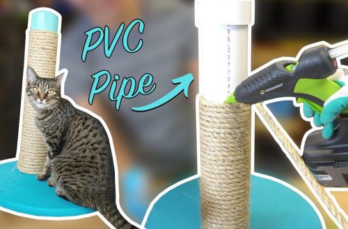 How to make a scratching post for a cat?