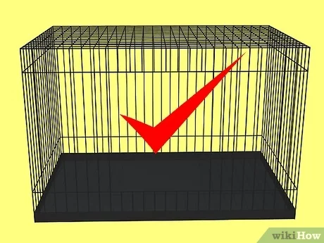 How to make an aviary for a dog?