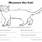 How to measure the height of a cat?