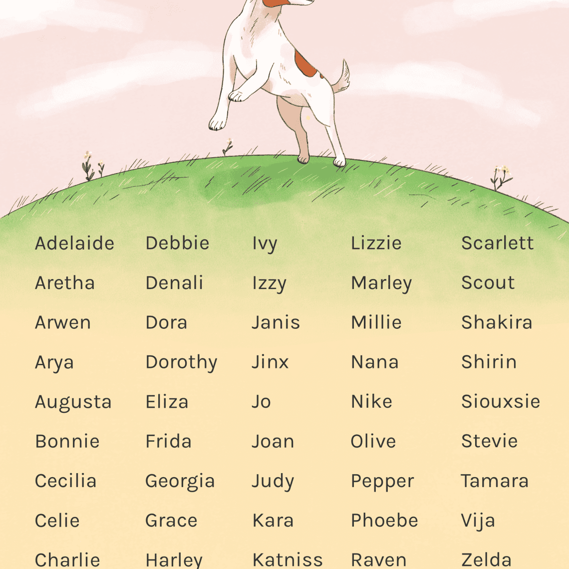 How to name a dog-girl?