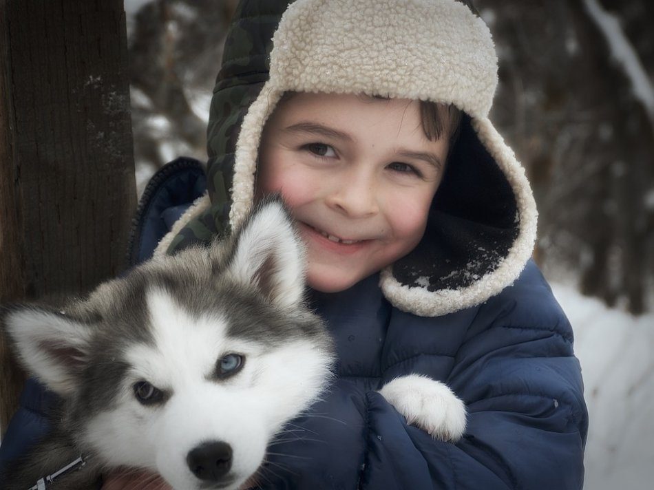 How to prepare a child for the appearance of a dog?