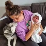 How to prepare a child for the appearance of a dog?