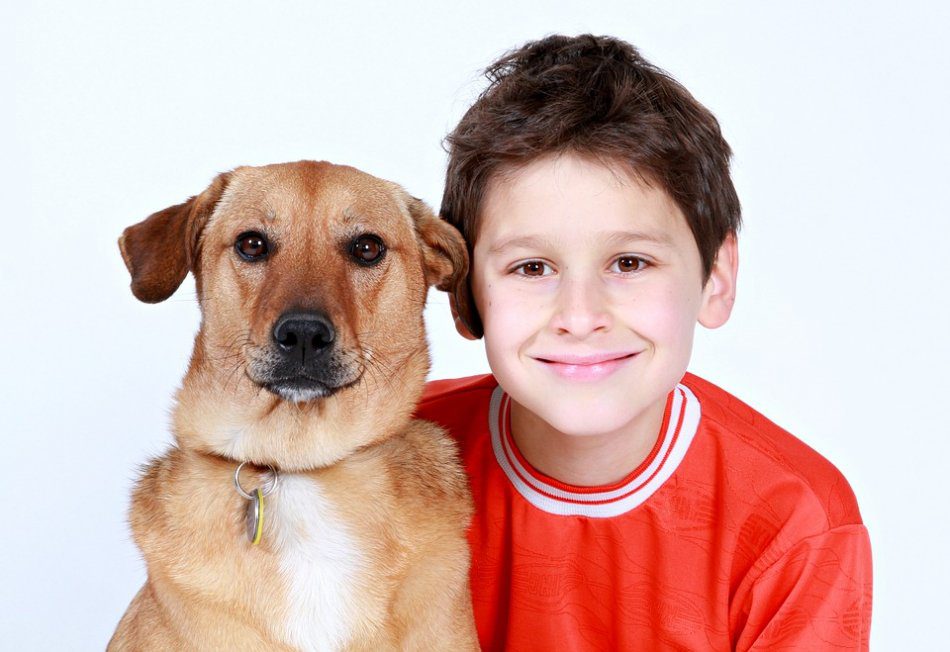 How to prepare a child for the appearance of a dog?