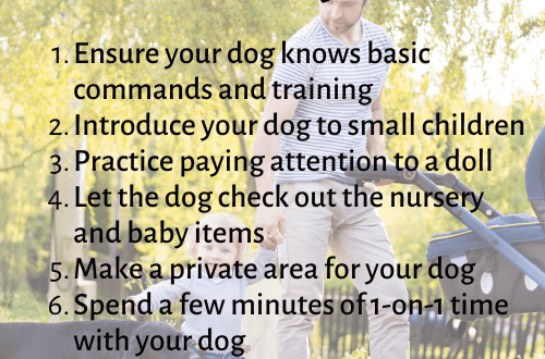 Kako pripremiti svog psa za bebu
