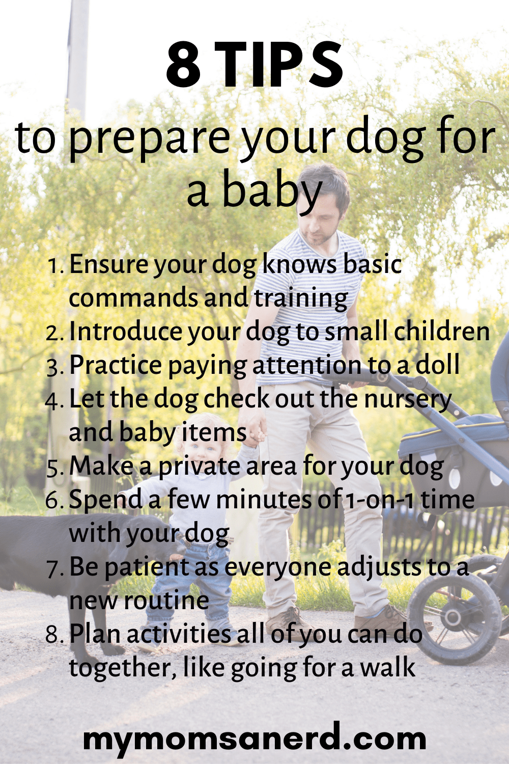 How to prepare your dog for a baby