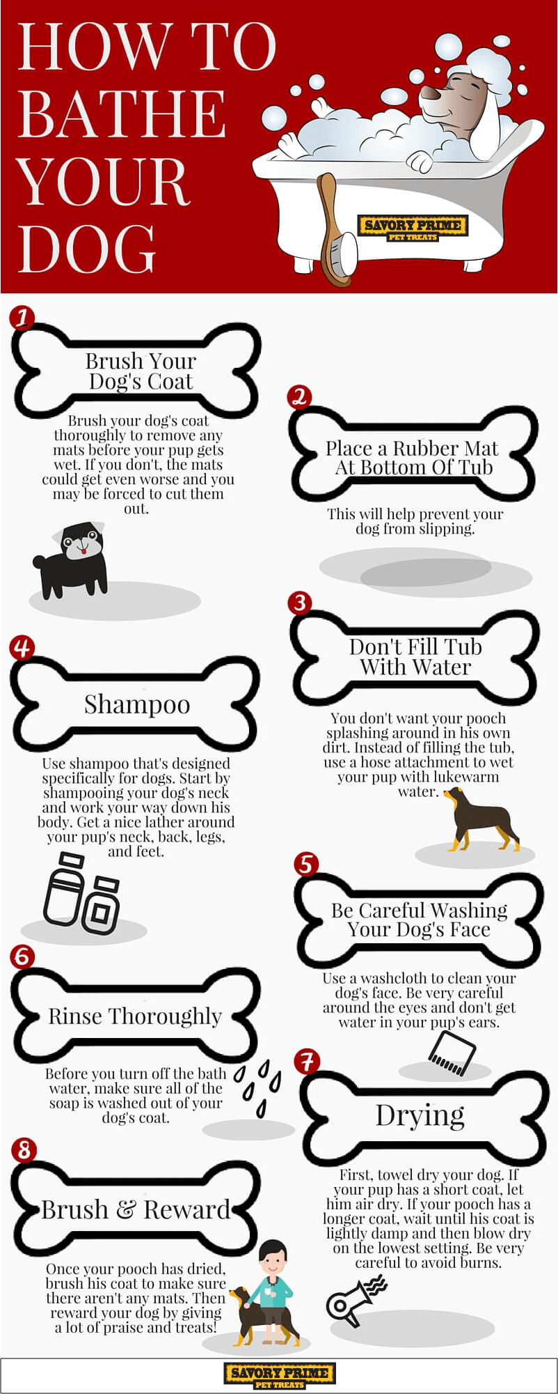How to properly wash a dog?