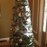 How to protect the Christmas tree from the cat and the cat from the Christmas tree?