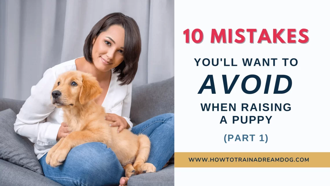 How to raise a dog: 10 bad tips