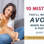 How to raise a dog: 10 bad tips