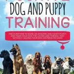 How to raise and train a puppy? 