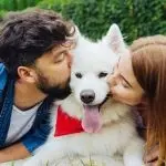 How to Reduce Dog Stress After Breaking Up With Owner