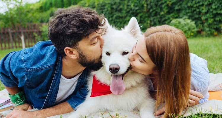 How to Reduce Dog Stress After Breaking Up With Owner