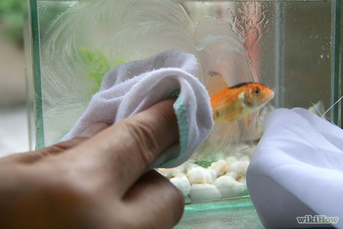 How to Remove Small Scratches from Aquarium Glass