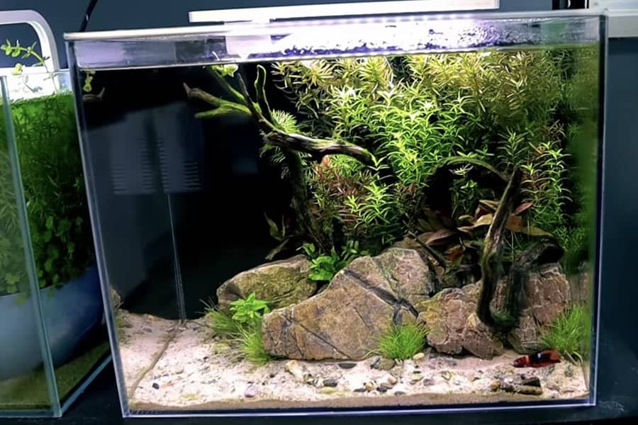 How to Remove Small Scratches from Aquarium Glass