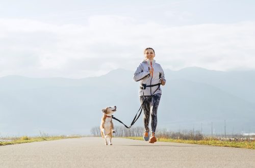 How to run with a dog?