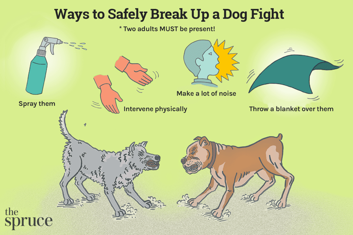 How to separate fighting dogs?