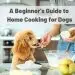 How to properly feed a dog throughout life?