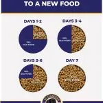 How to switch your dog to another food