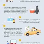 How to take a cat abroad?