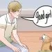 Dog training by cynologist