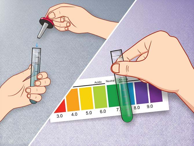 How to test the water in an aquarium