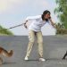 Why a dog jumps on a person (and how to make him stop)