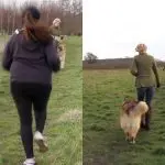 How to wean a dog to run after cyclists and joggers?