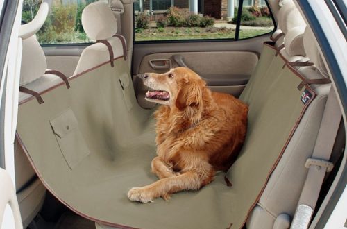 If the dog is nervous in the car
