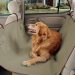 10 Tips for Successful Dog Transportation