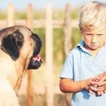 “I’m afraid of dogs!” Cynophobia: what is it and what to do about it?