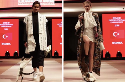 In Turkey, the cat took part in a fashion show