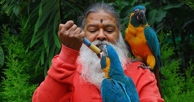 Indian bird house hit the Guinness Book of Records