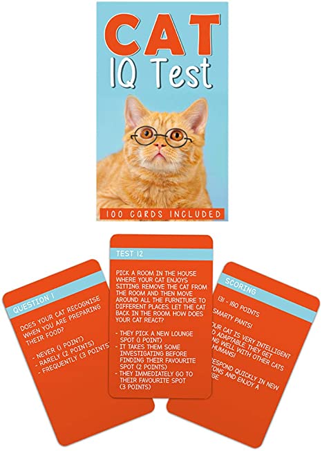 IQ test for a cat