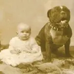 Is a dog a babysitter?