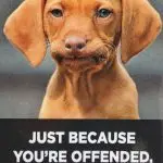 Is it possible to be offended by a dog