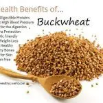 Is it possible to feed a puppy buckwheat