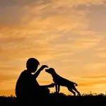 Is man a dog’s best friend?