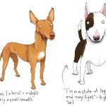 Is the tail important in a dog’s life?
