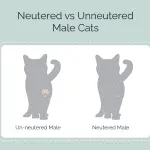 Is the training of castrated and uncastrated males different?