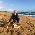Is your dog happy? 10 common owner misconceptions