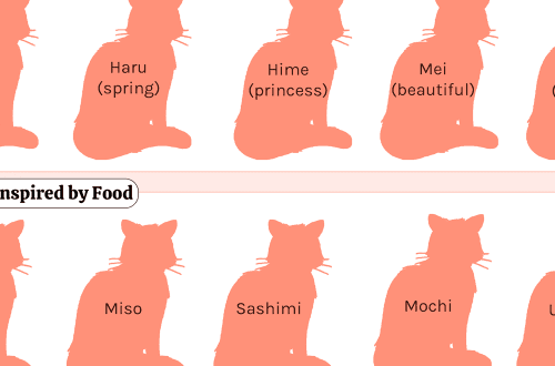Japanese names for cats and cats