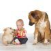 Շների ցեղատեսակներ երեխաների համար – Թոփ 40