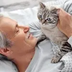Keeping a cat with pets