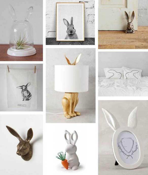 Keeping decorative rabbits at home