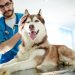 Why go to a veterinary neurologist?