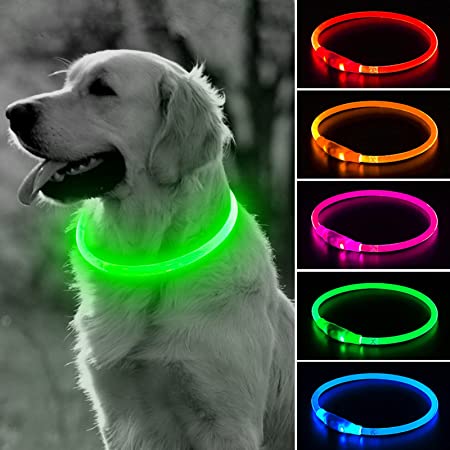 Luminous collar for dogs