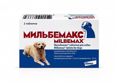 Milbemax for dogs: instructions for use