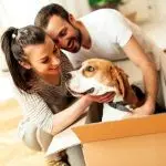 Moving with a dog